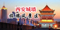少妇体内射精1汇编未审中国陕西-西安城墙旅游风景区